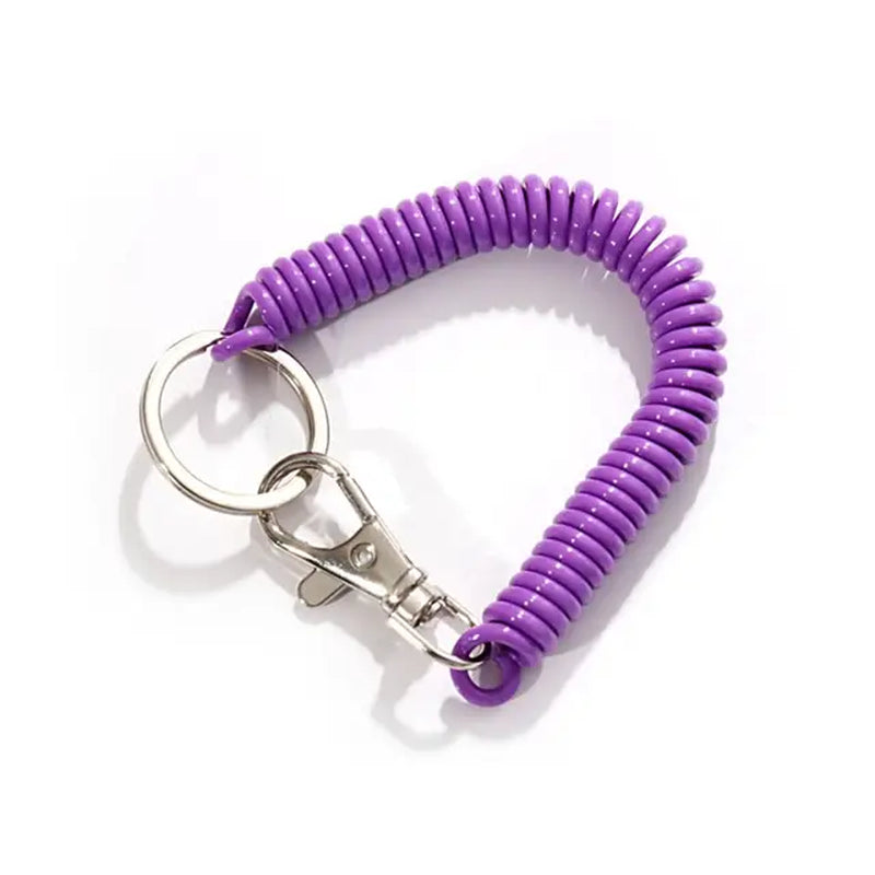 New Spiral Stretch Keychain Elastic Spring Rope Key Ring Metal Carabiner for Outdoor Anti-Lost Phone Spring Key Cord Clasp Hook